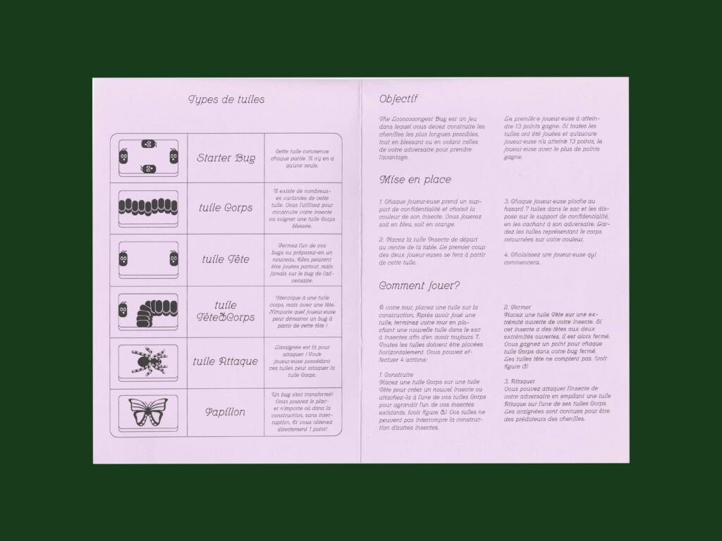 Game Design – The Looooongest Bug